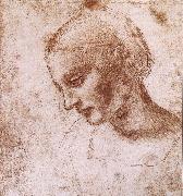 LEONARDO da Vinci Study fur a women head oil